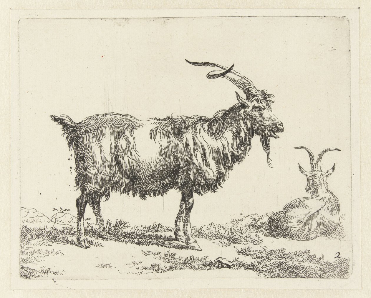 Two Goats Goats (series title) Animalia ad vivum delineata et aqua forti aeri impressa Studio et Arte Nicolai Berchemi (series title) by Nicolaes Pietersz Berchem