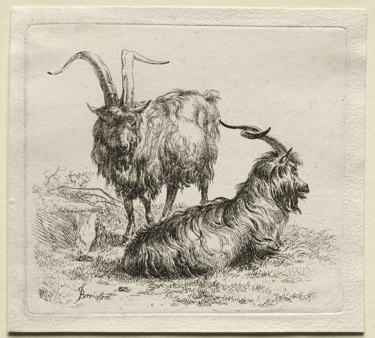Two Goats by Nicolaes Pietersz. Berchem