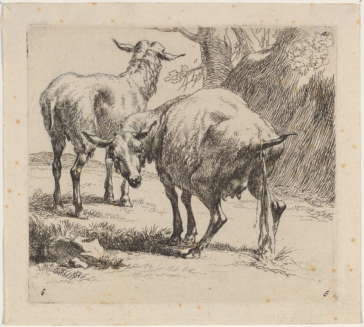 Two Sheep, One Pissing by Nicolaes Pietersz Berchem