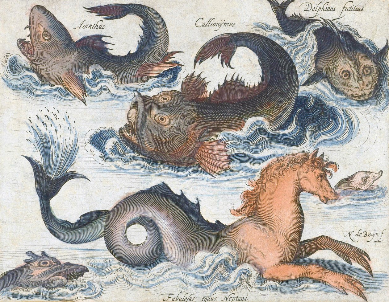 Seahorse and imaginary aquatic creatures by Nicolaes de (after) Bruyn