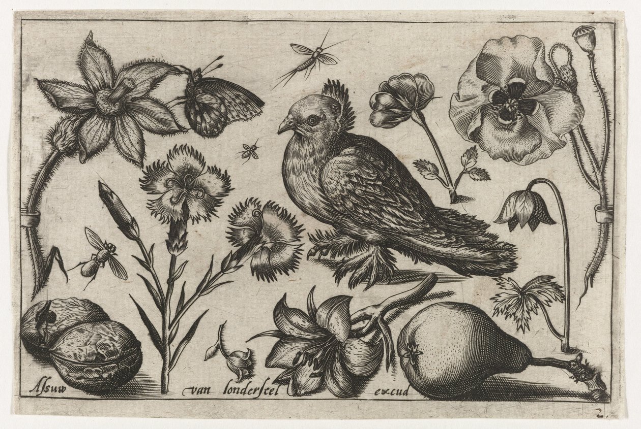 Flowers, a Pear, and a Dove (Birds, Flowers, Insects, etc.) by Nicolaes de Bruyn (possibly)