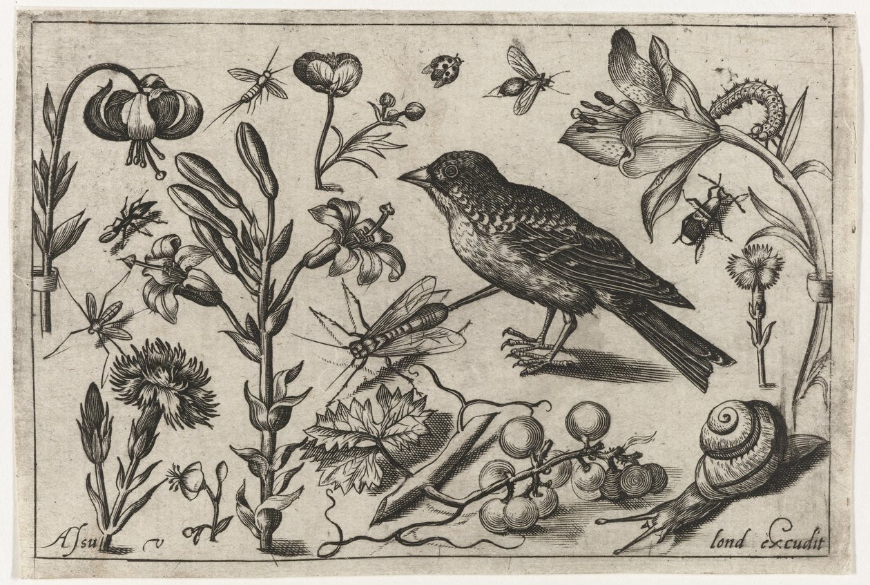 Flowers, a Snail, and a Bird (series title: Birds, Flowers, Insects, etc.) by Nicolaes de Bruyn (possibly)