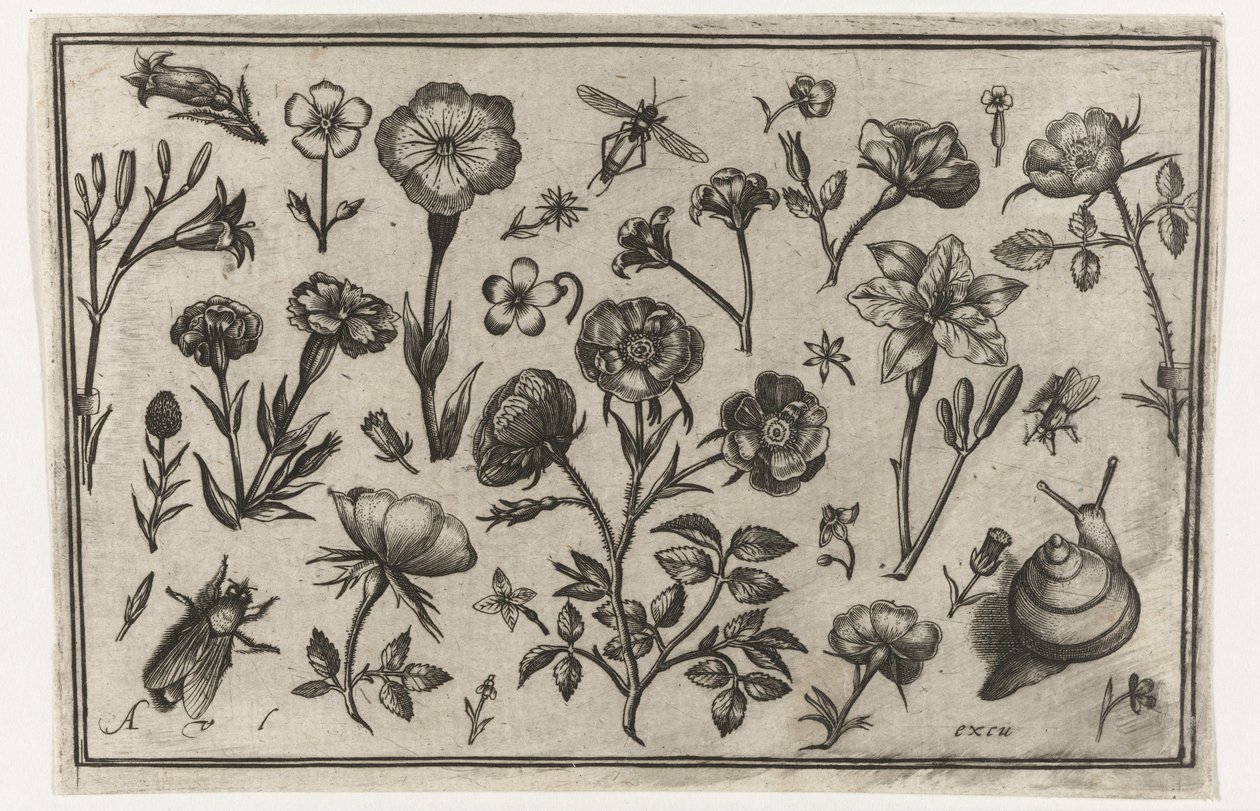 Flowers, a Fly, and a Snail by Nicolaes de Bruyn (possibly)