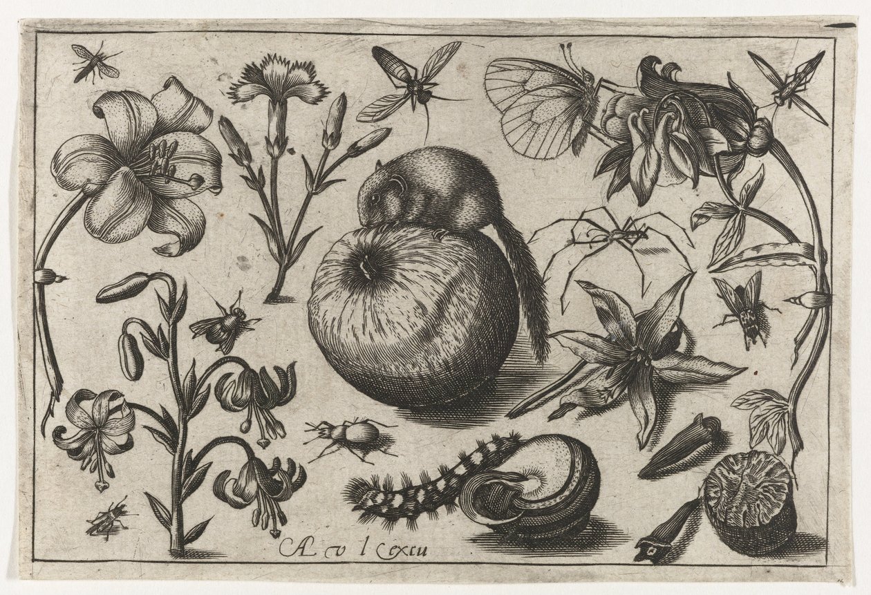 Flowers and a Mouse on an Apple (Birds, Flowers, Insects, etc.) by Nicolaes de Bruyn (possibly)