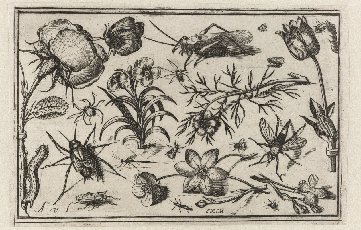 Flowers and Insects (Birds, Flowers, Insects, etc.) by Nicolaes de Bruyn (possibly)