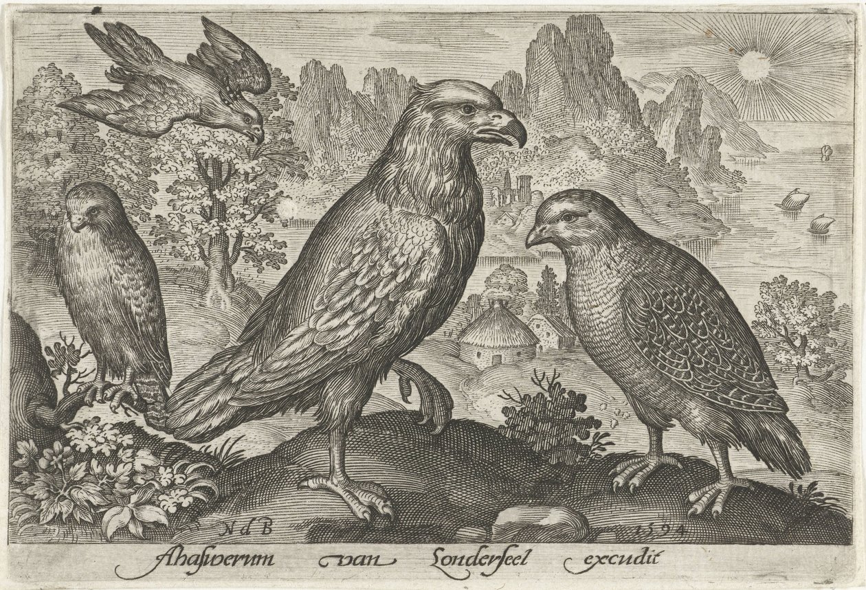 Eagle and Other Birds of Prey, Birds and Insects (series title) by Nicolaes de Bruyn