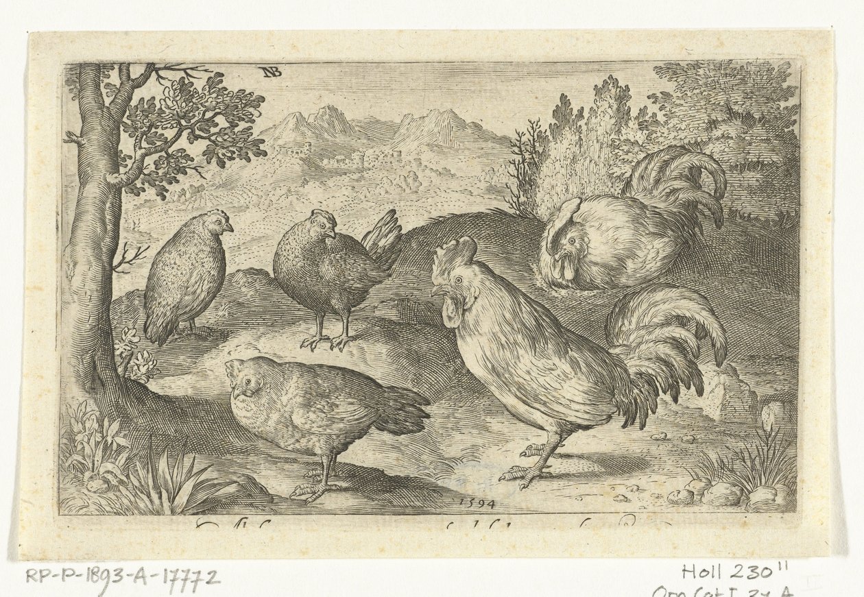 Three Chickens and Two Roosters by Nicolaes de Bruyn