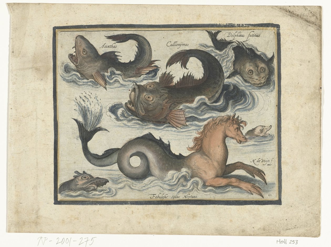Fantastic Water Creatures, Including Seahorse by Nicolaes de Bruyn