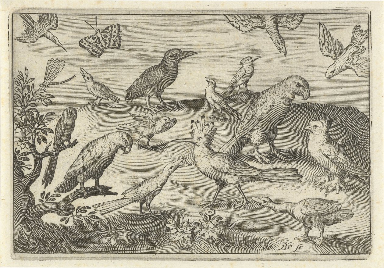 Hoopoe and Other Birds (series title: Birds and Insects) by Nicolaes de Bruyn