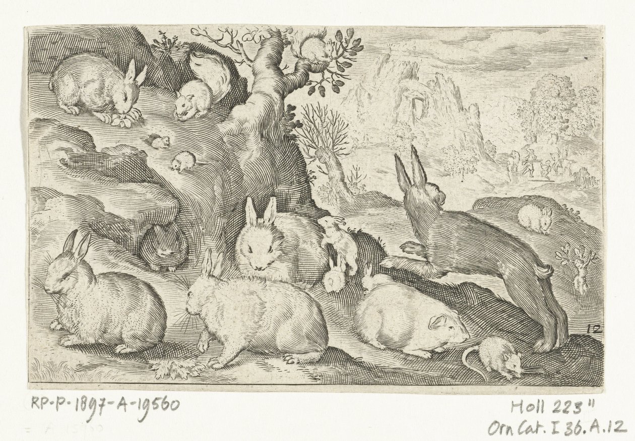 Rabbits, Squirrel, Guinea Pig, and Mouse (Series: Animalivm Qvadrvpedvm, Animals in Landscapes) by Nicolaes de Bruyn