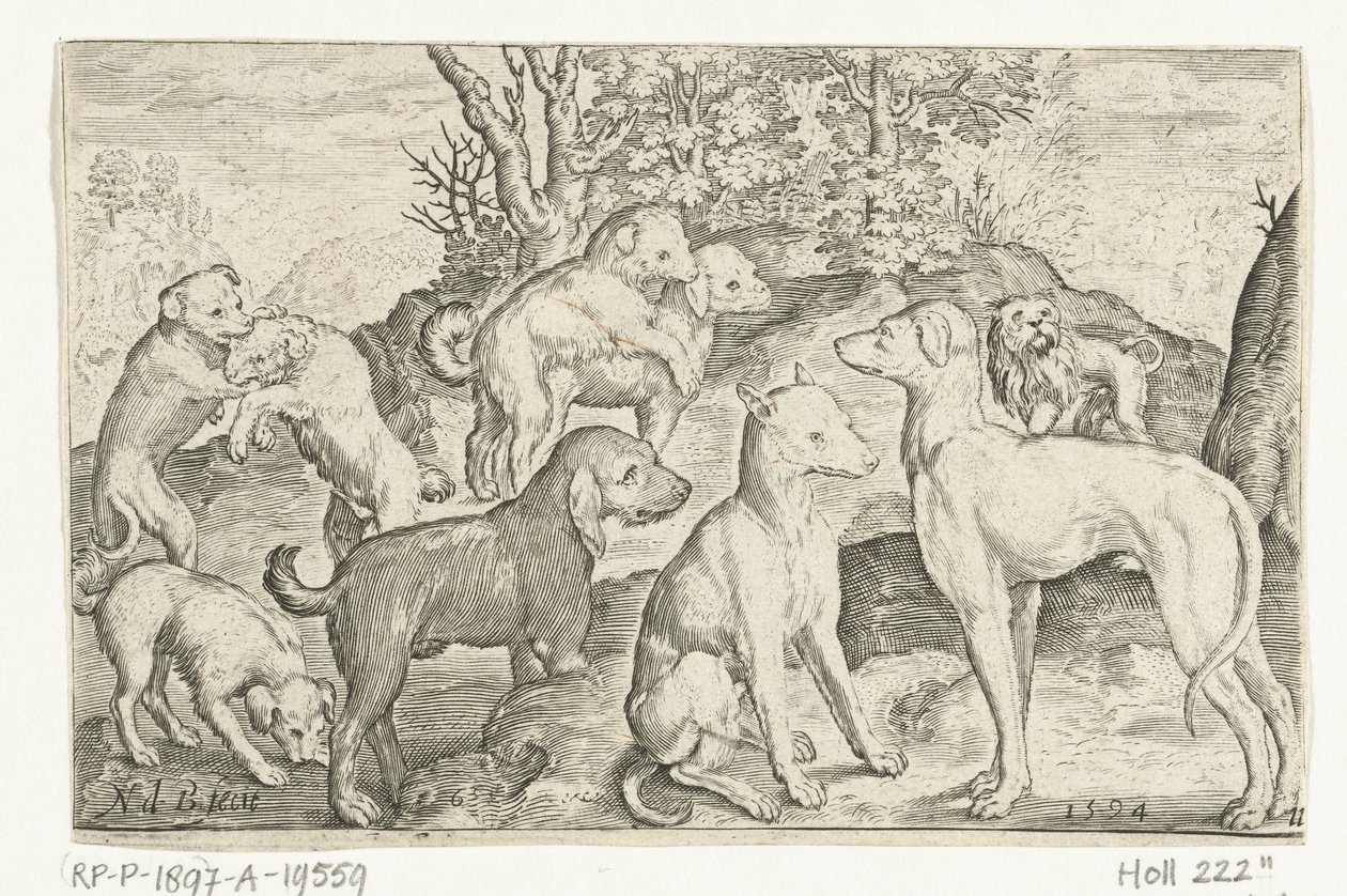Nine Dogs by Nicolaes de Bruyn
