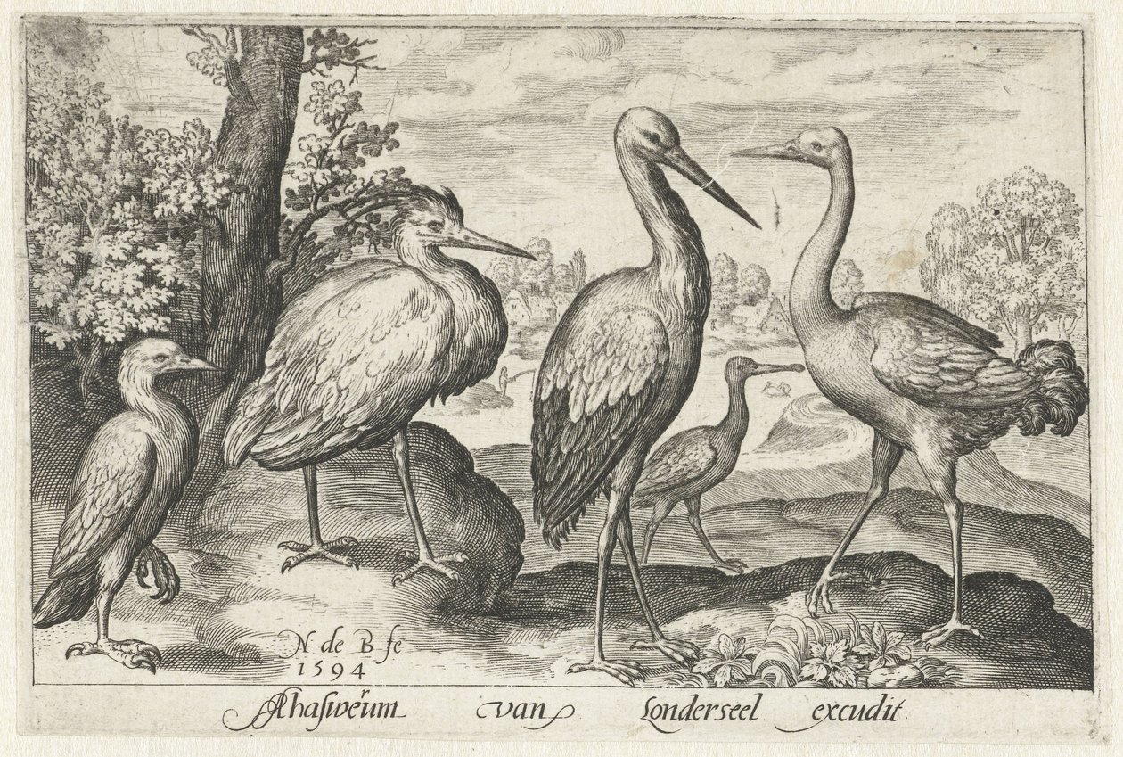Stork, Crane, Heron, and Spoonbill by Nicolaes de Bruyn