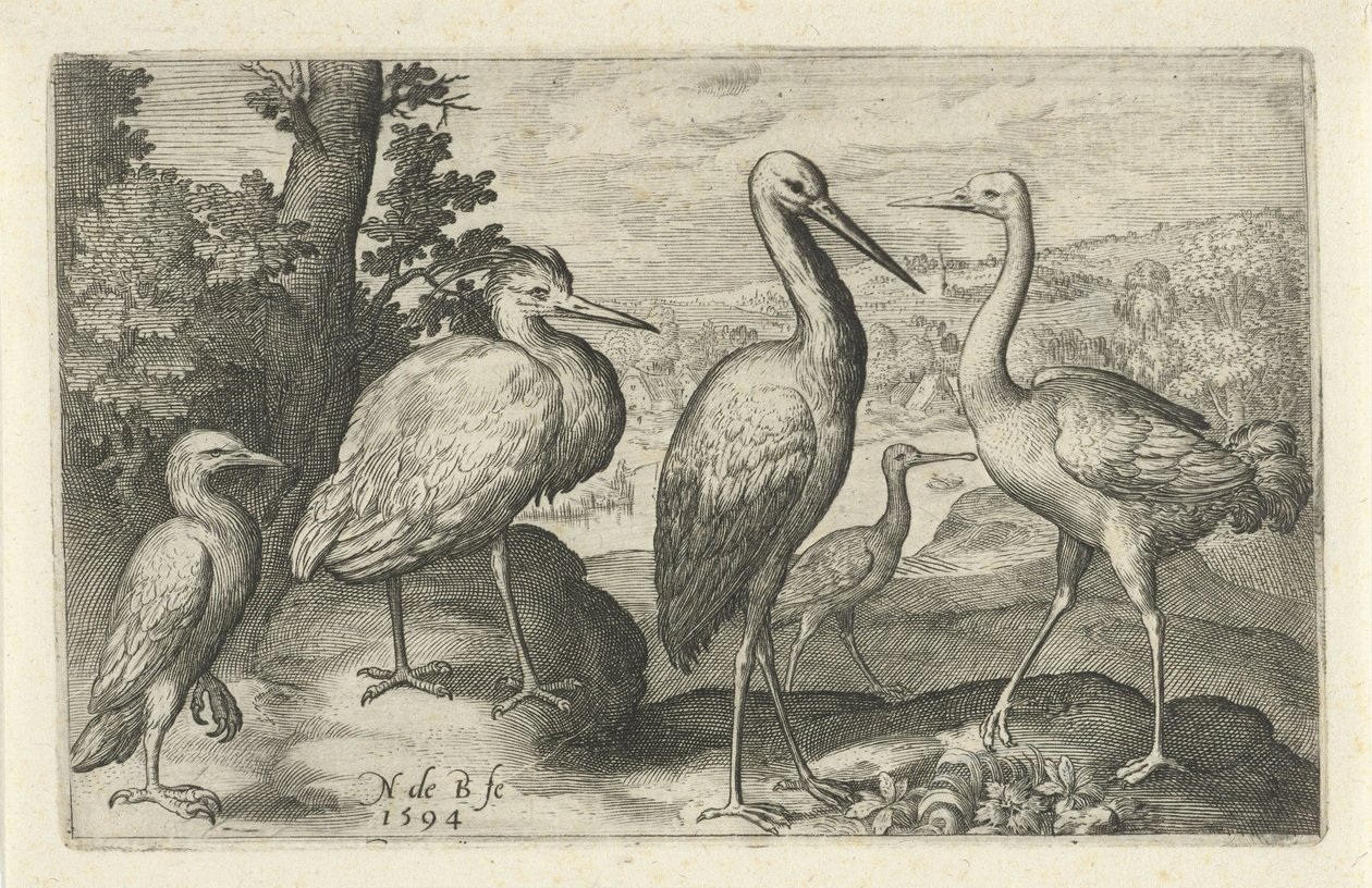 Stork, Crane, Heron, and Spoonbill by Nicolaes de Bruyn