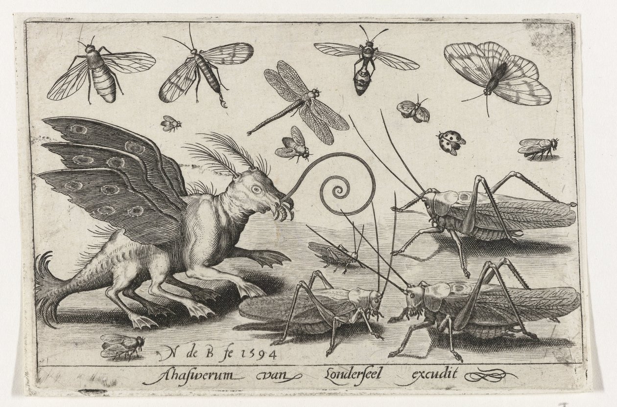 Grasshoppers and Fantasy Creature with Wings and Webbed Feet, Birds and Insects (series title) by Nicolaes de Bruyn