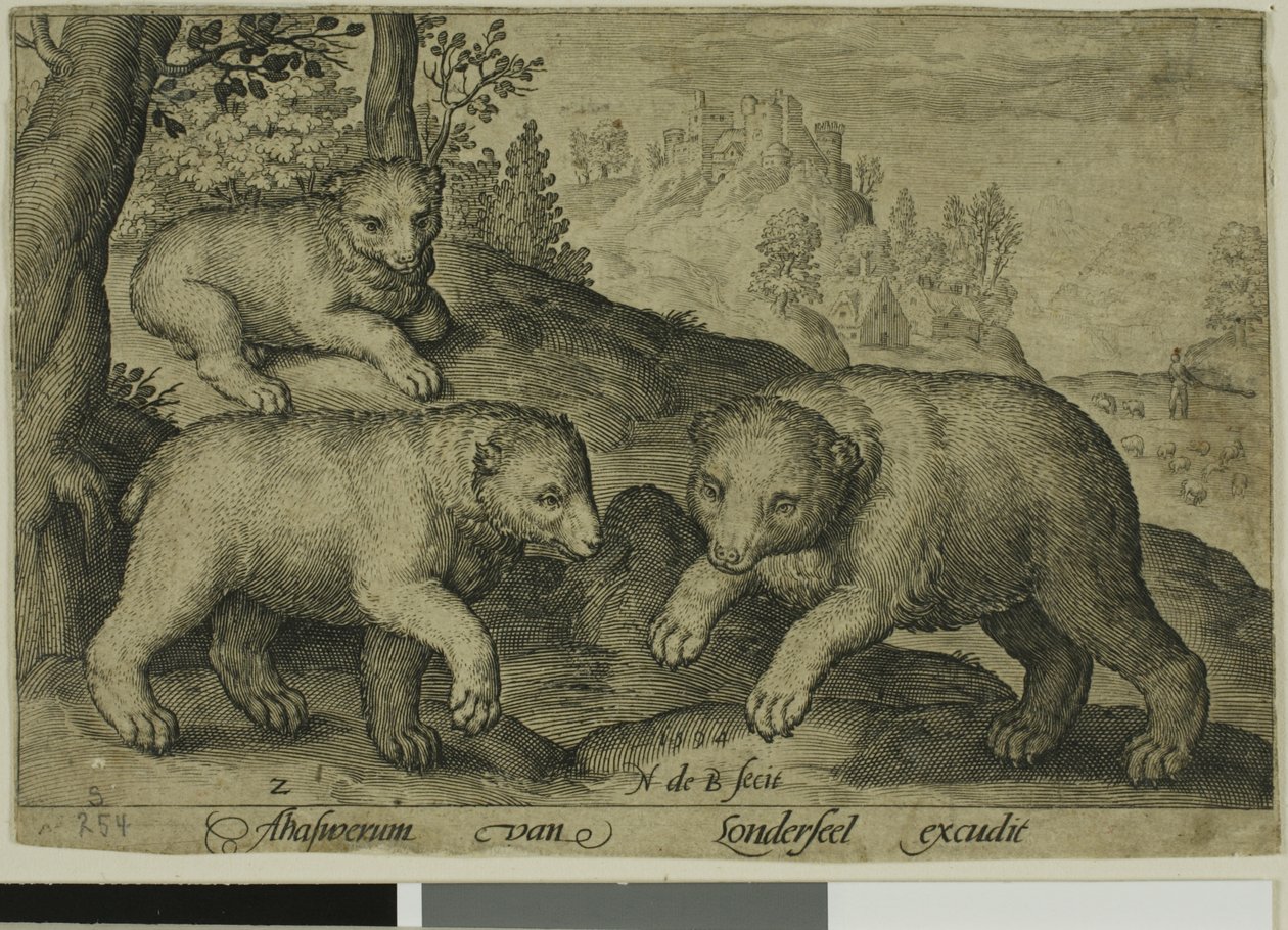 Three Bears, plate ten from Four-Legged Animals by Nicolaes de Bruyn