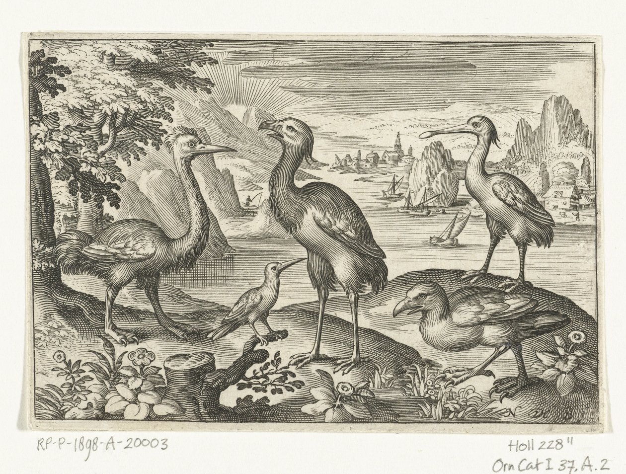 Five Birds Including Spoonbill by Nicolaes de Bruyn