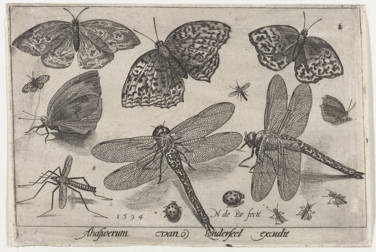 Butterflies and Dragonflies by Nicolaes de Bruyn