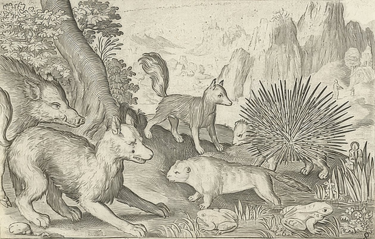 Wild Boar, Foxes, Beavers, Porcupine and Frogs. 1621 by Nicolaes de Bruyn