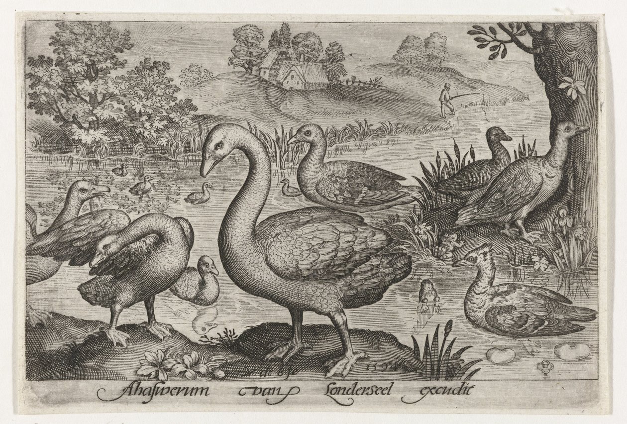 Swan and Geese and Ducks by Water (Birds and Insects) by Nicolaes de Bruyn