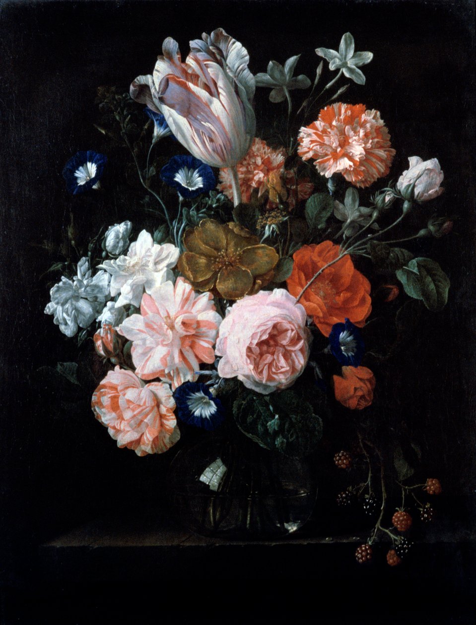 A Tulip, Carnations, and Morning Glory in a Glass Vase by Nicolaes van Veerendael
