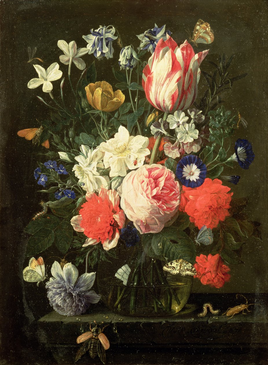 Unknown Image by Nicolaes van Veerendael