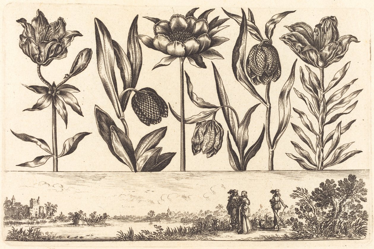 Flower Print No.11 by Nicolas Cochin after Balthasar Moncornet