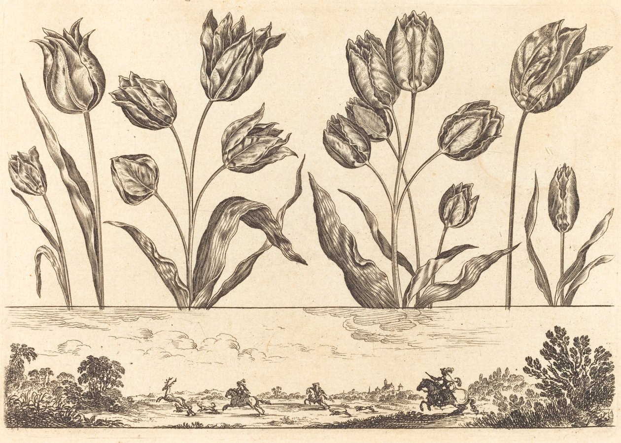 Flower Print No.12 by Nicolas Cochin after Balthasar Moncornet