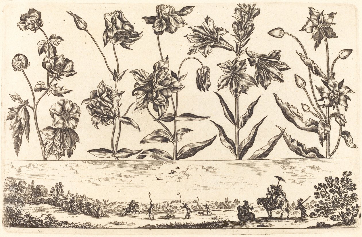 Flower Print No.6 by Nicolas Cochin after Balthasar Moncornet