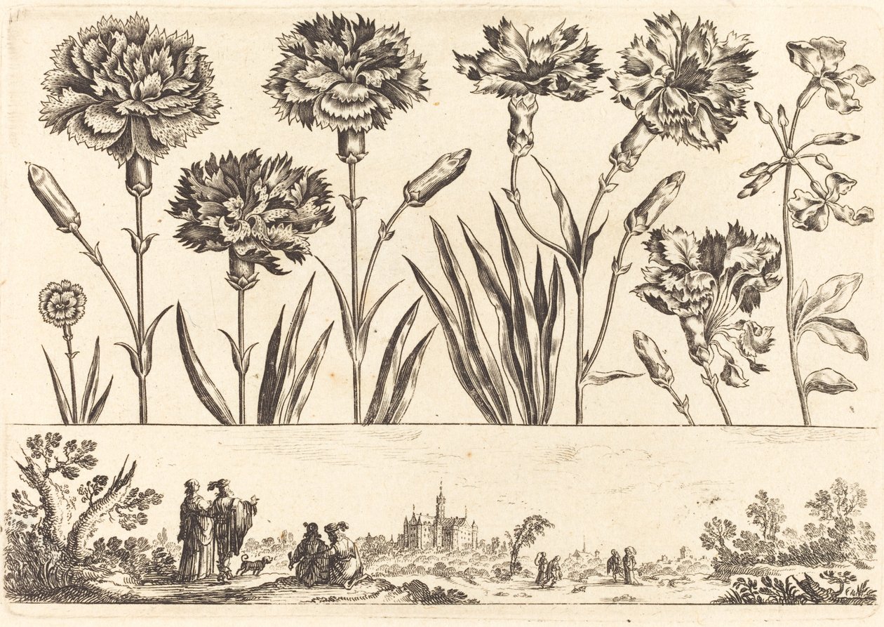 Flower Print No.9 by Nicolas Cochin after Balthasar Moncornet