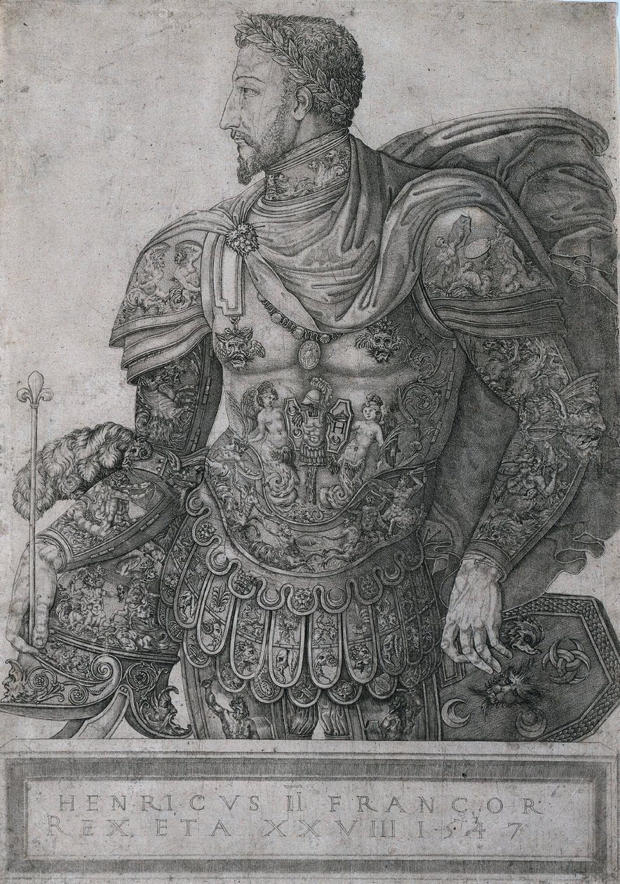 Henri II, King of France, at the age of 28 by Nicolo della Casa