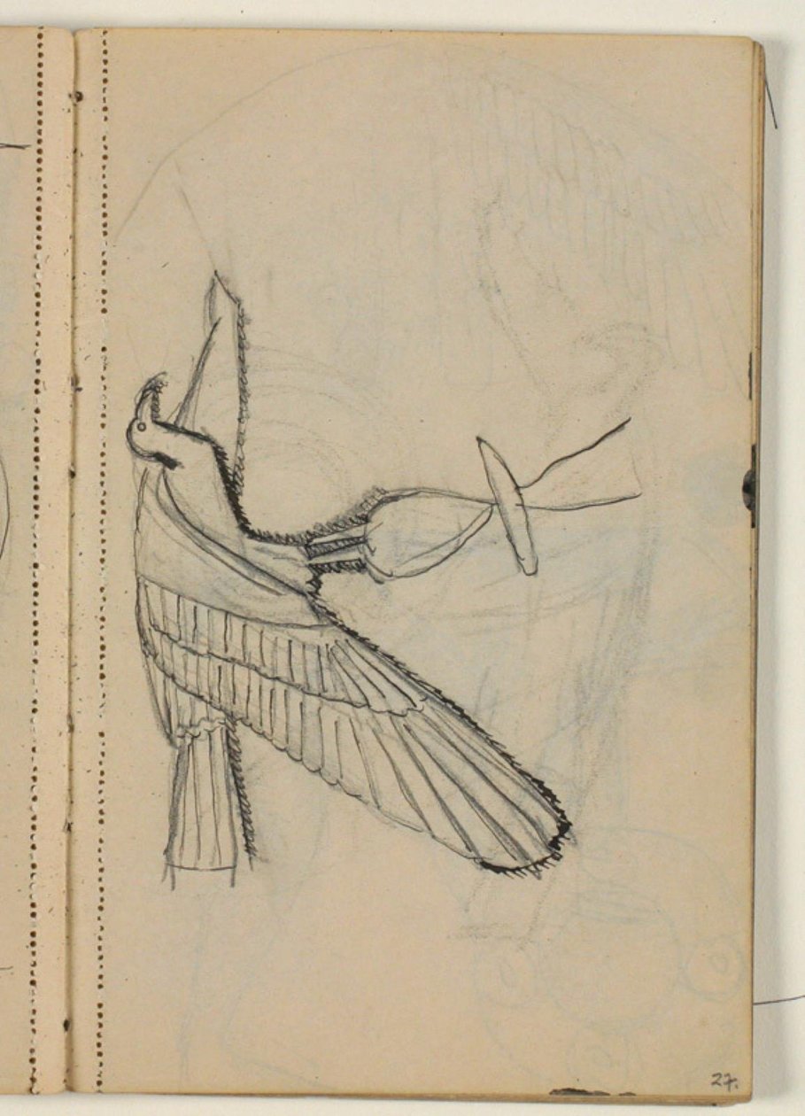 Studies of Birds, Probably After a Model by Niels Larsen Stevns