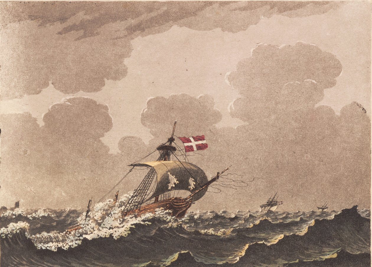 A Damaged Ship, Signaling Loots by Niels Truslew