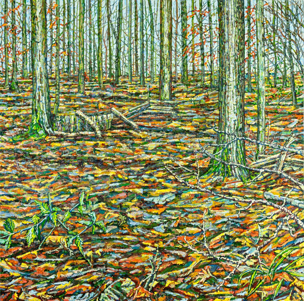 Orches Groundscape by Noel Paine