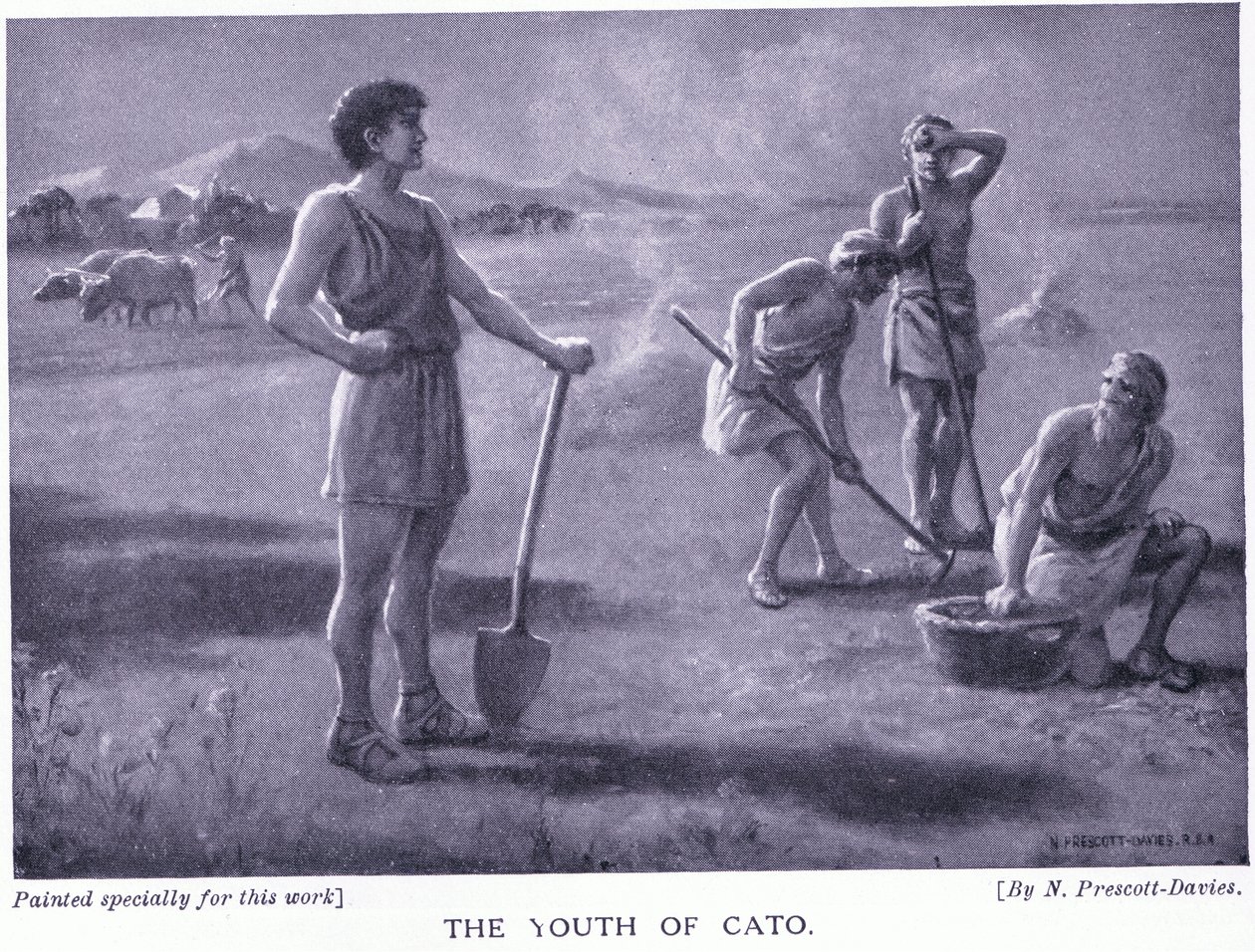 The youth of Cato by Norman Prescott Davies