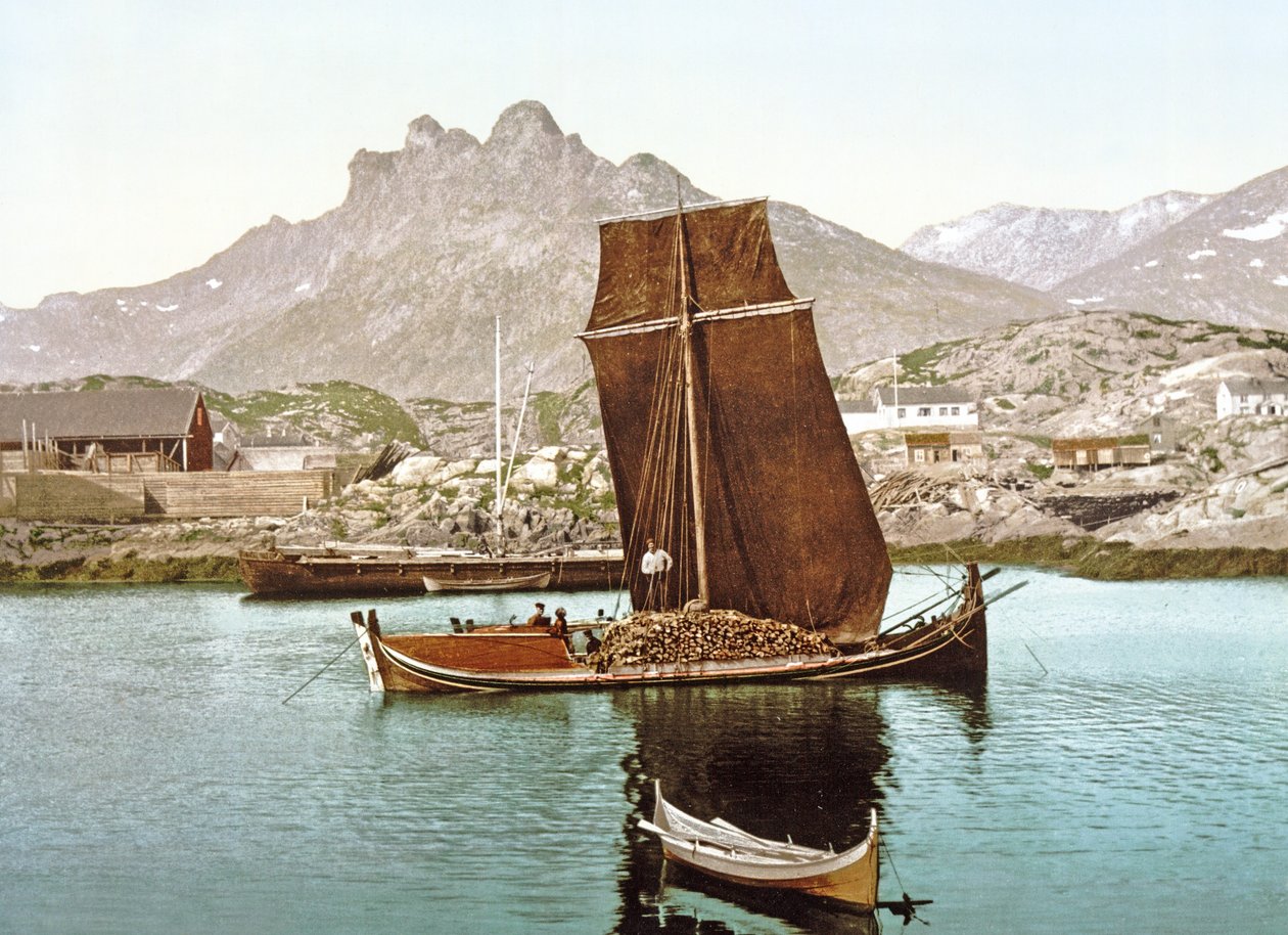 Nordland boat carrying a cargo of logs, Norway by Norwegian Photographer