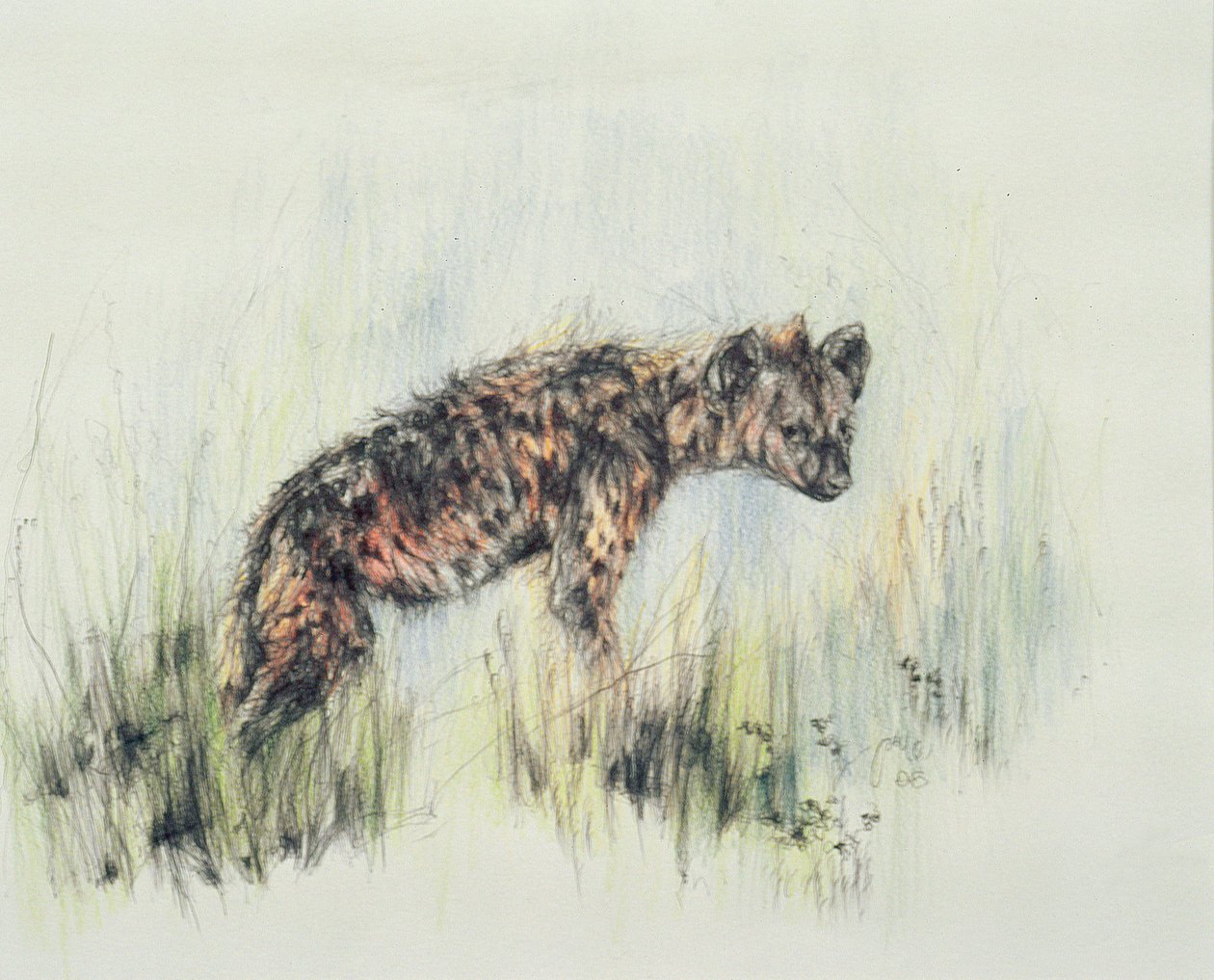 Baby Hyena by Odile Kidd
