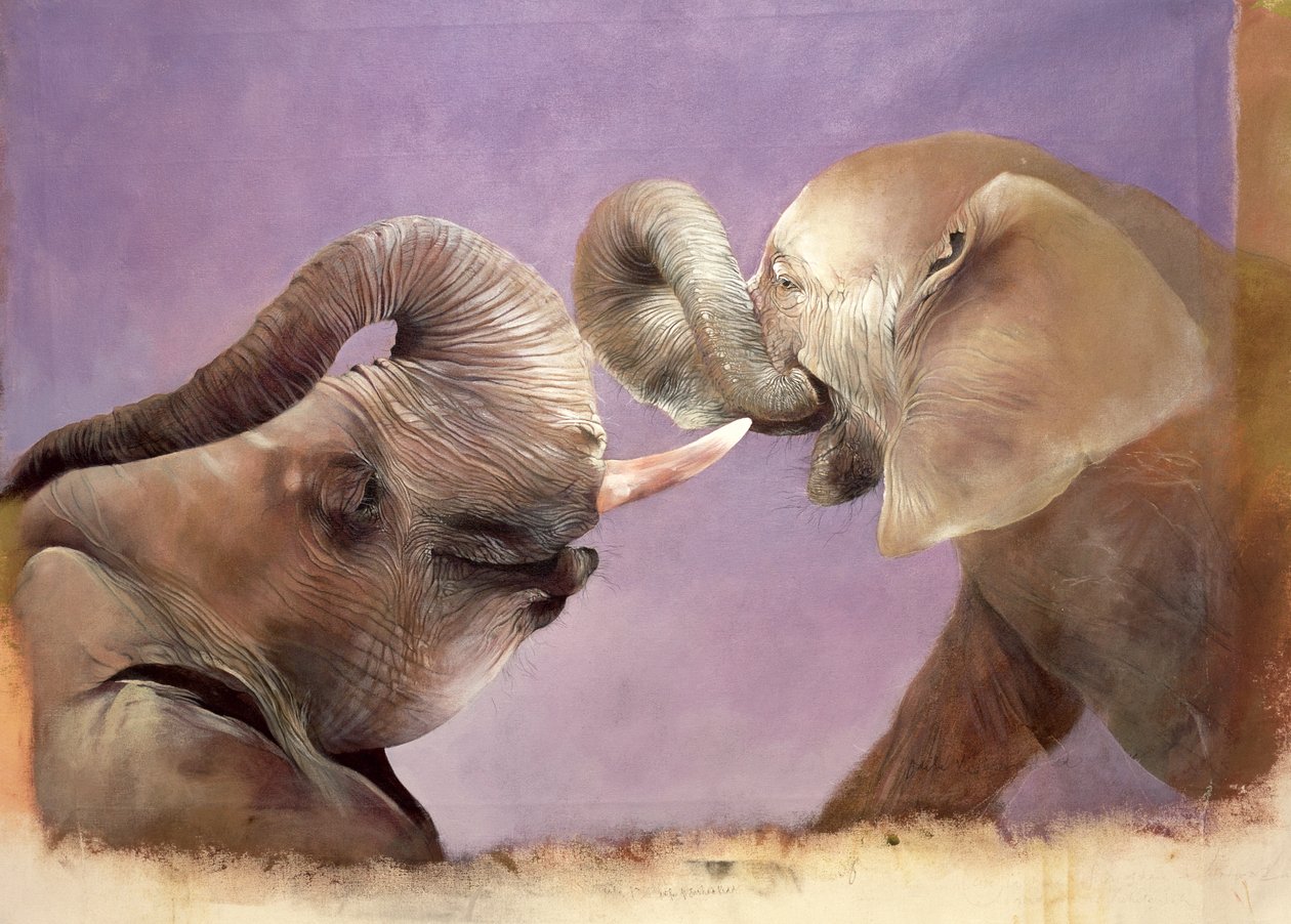 Elephants at Play by Odile Kidd