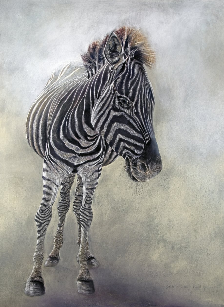 Equus burchelli 1 by Odile Kidd