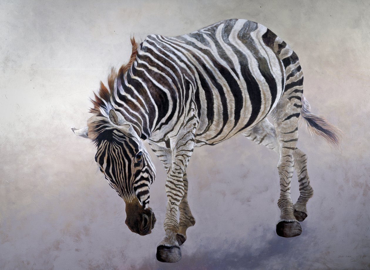 Equus burchelli 2 by Odile Kidd