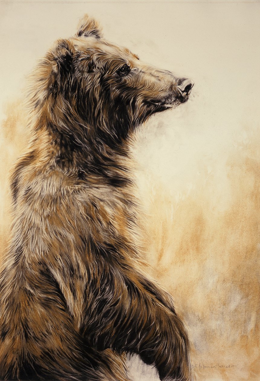 Grizzly Bear 2 by Odile Kidd