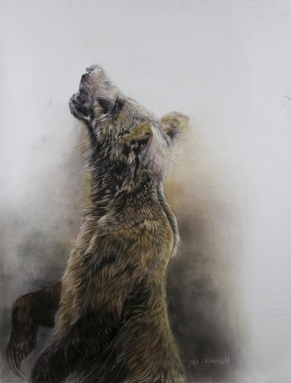 Grizzly Bear 3, 2009 by Odile Kidd