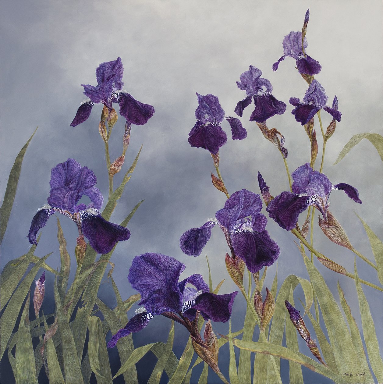 Iris Hybrida, 2015 by Odile Kidd