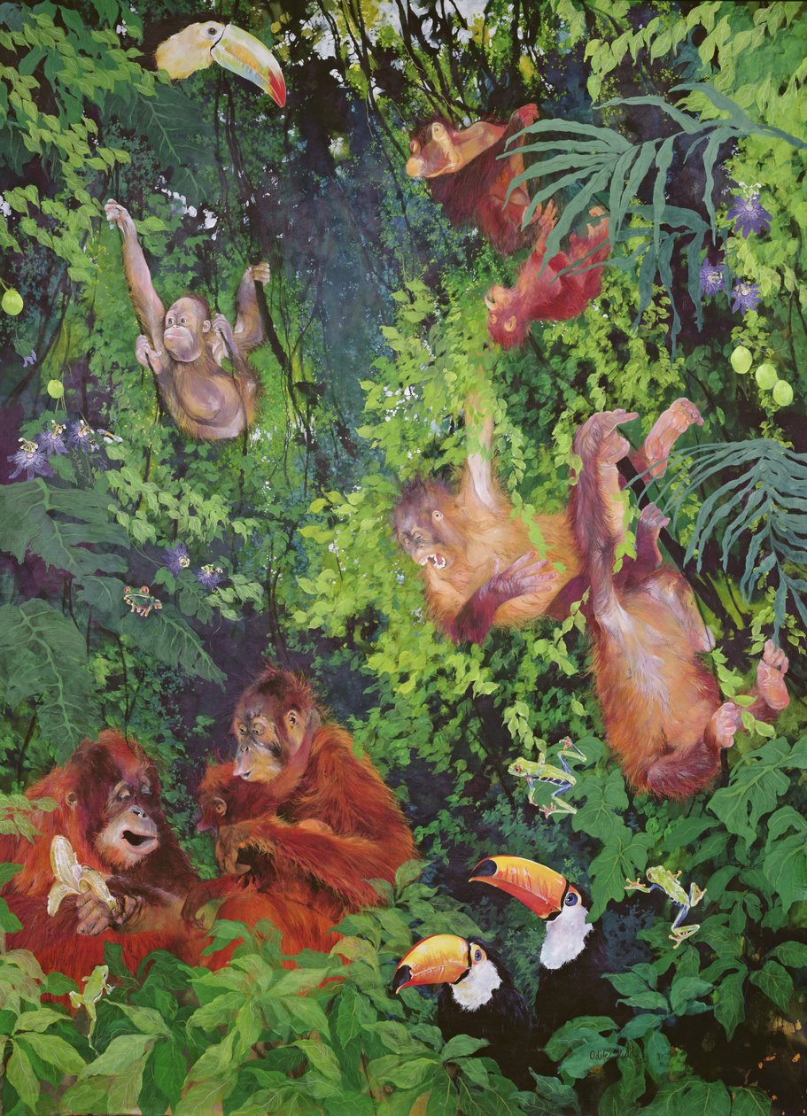 Orangutangs and Toucans by Odile Kidd