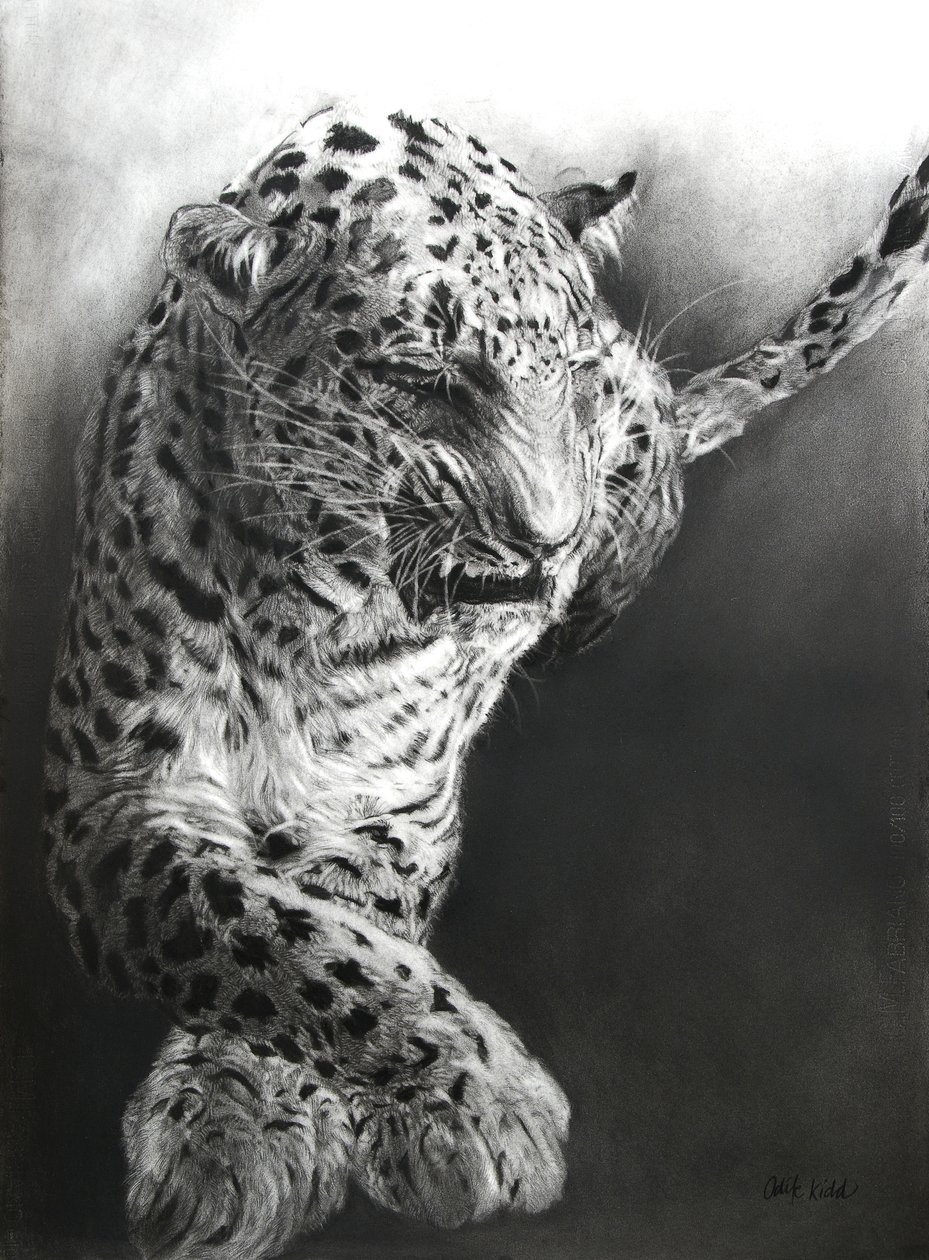 Panthera pardus 1 by Odile Kidd
