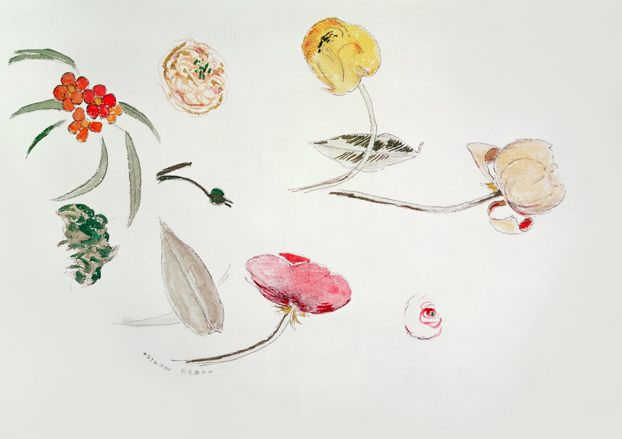Flower study by Odilon Redon