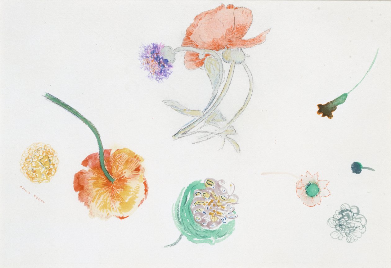Sketch of Flowers by Odilon Redon