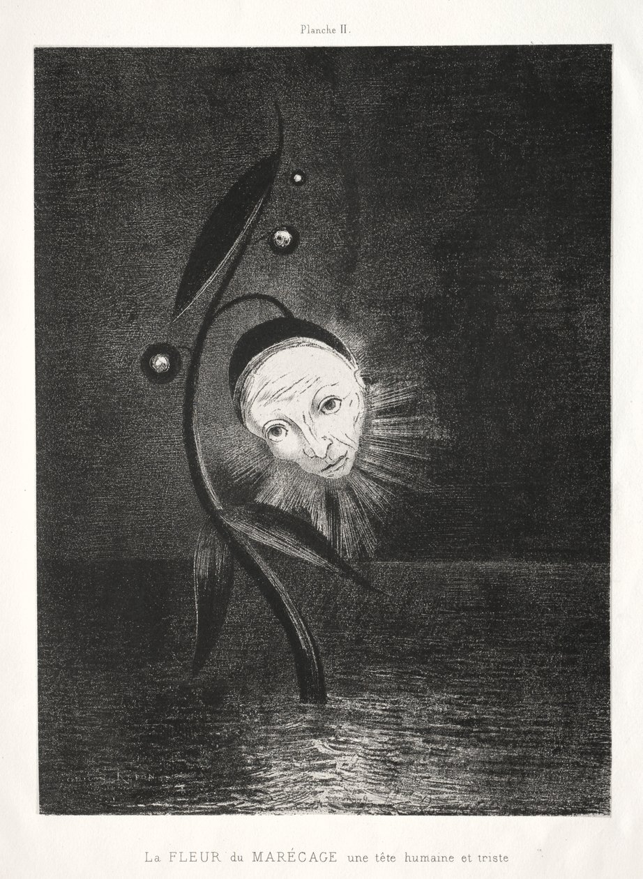 Homage to Goya: The Marsh Flower, a Sad Human Head by Odilon Redon