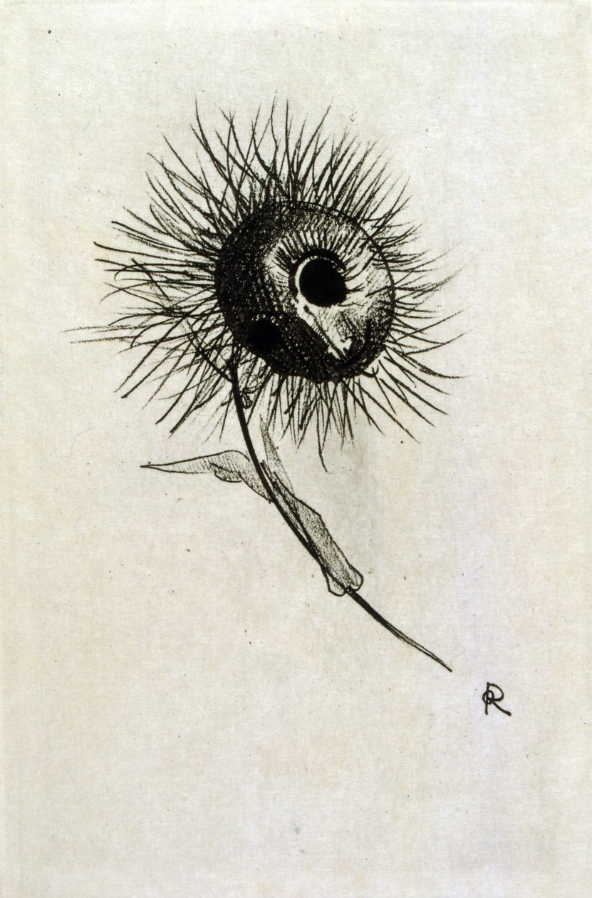 Illustration for 