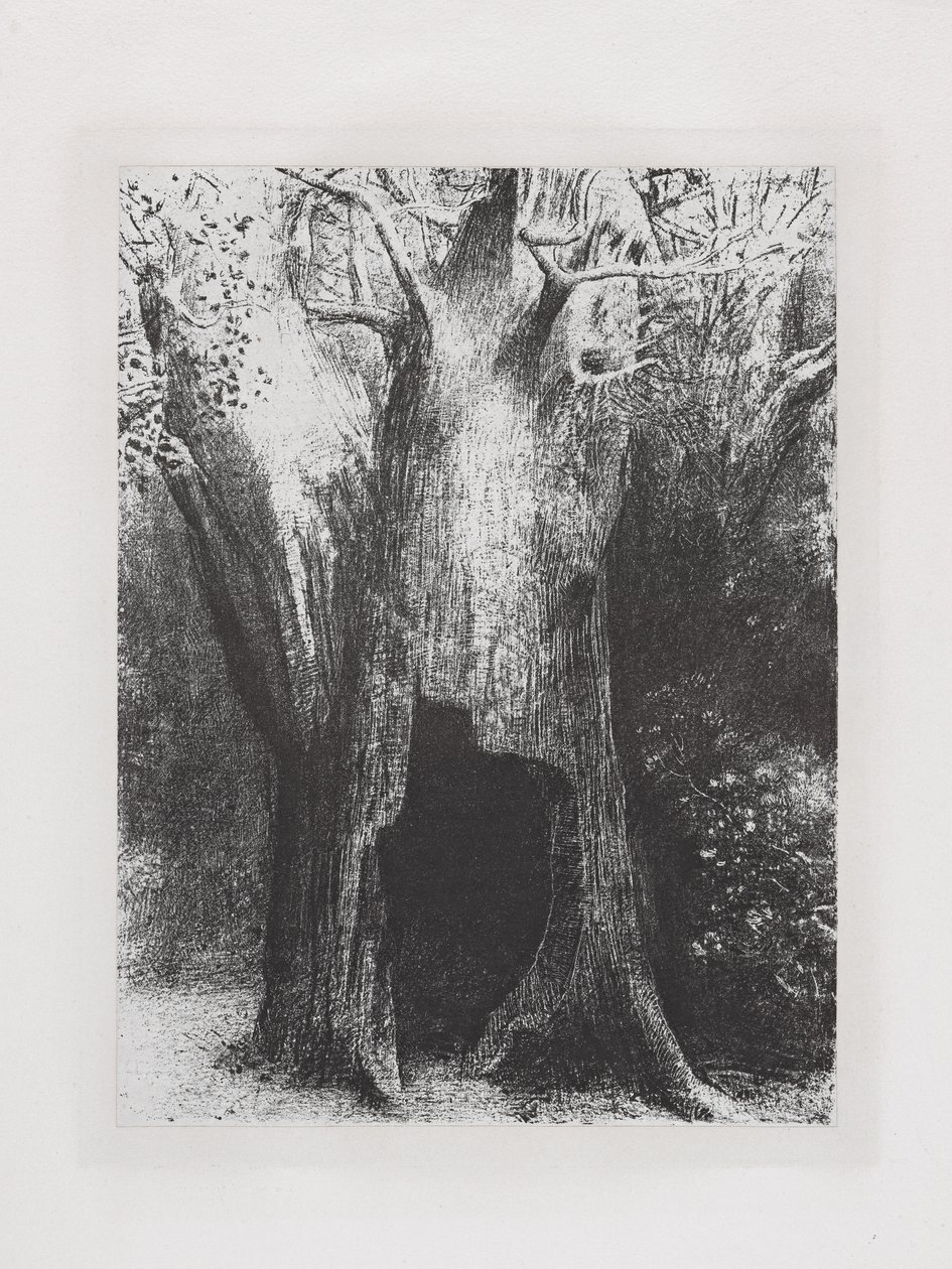 I Have Sunk into Solitude by Odilon Redon