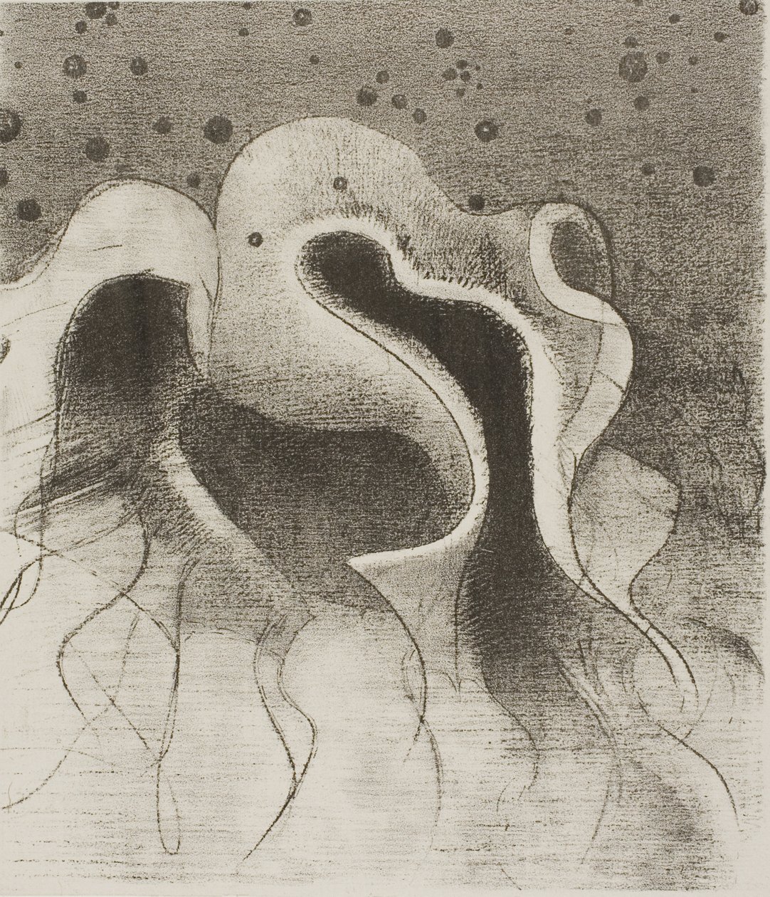 The Beasts of the Sea, Round Like Leather Bottles, Plate 22 of 24 by Odilon Redon